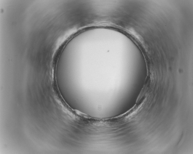 X0000088601414200706151750