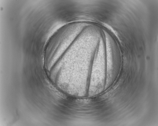 X0000088601415200706151750