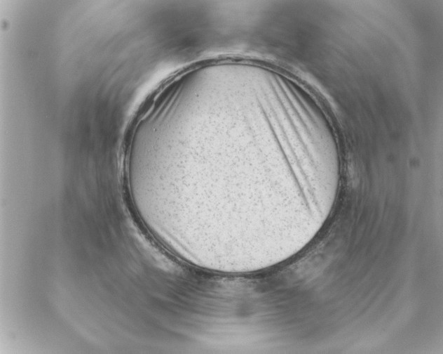 X0000088601416200706151750