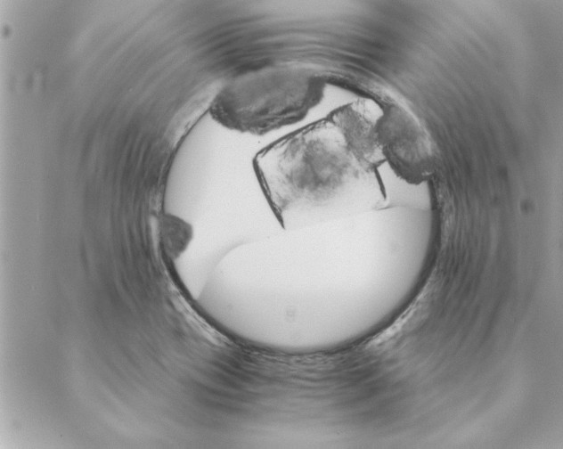 X0000088601417200706151750