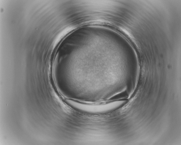 X0000088601418200706151750