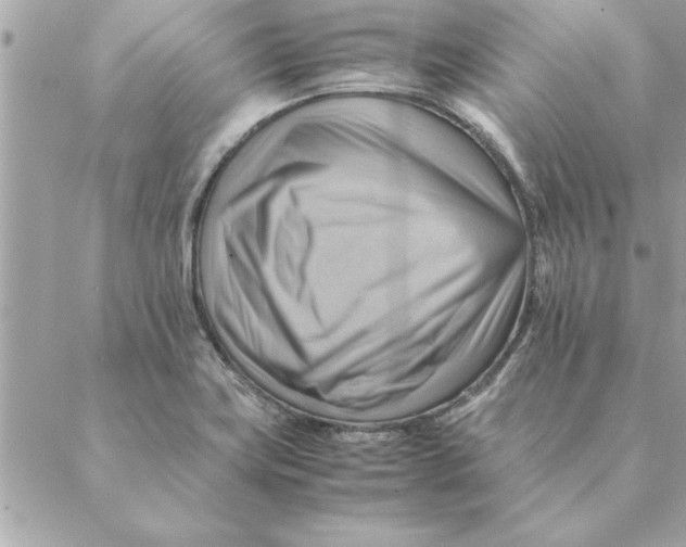 X0000088601419200706151750