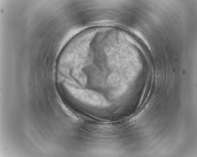 X0000088601421200706151750