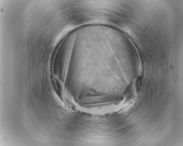 X0000088601422200706151750