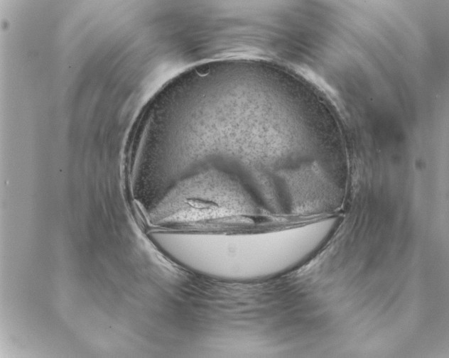 X0000088601423200706151750