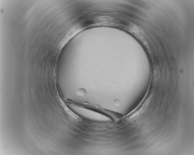 X0000088601425200706151750