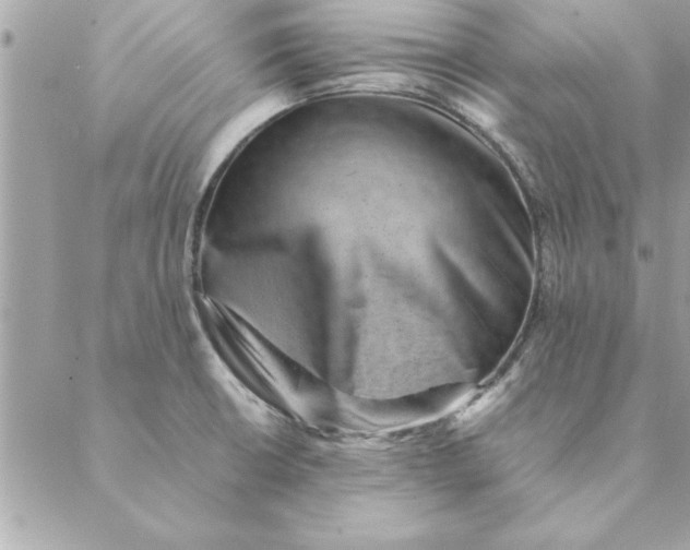 X0000088601426200706151750