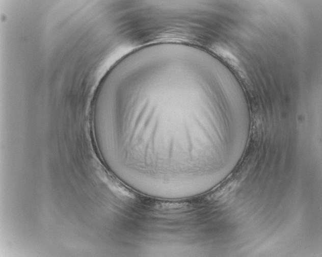 X0000088601427200706151750