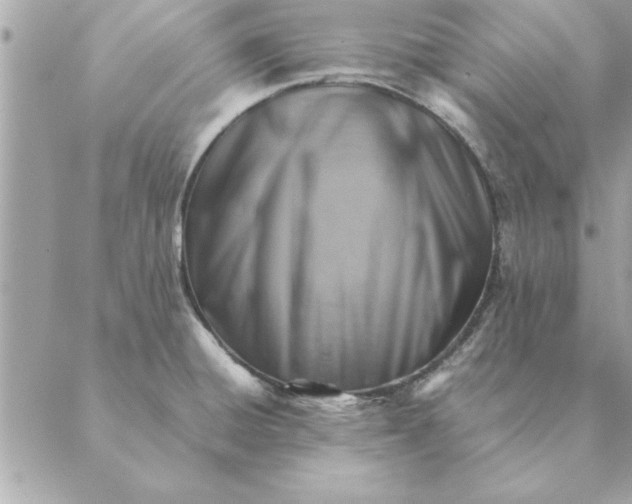 X0000088601428200706151750