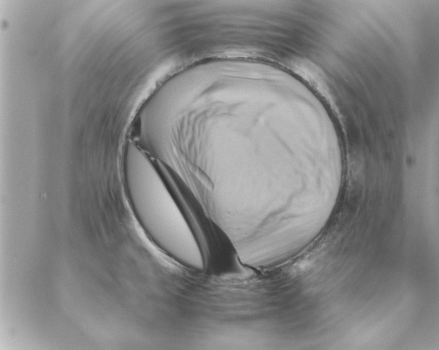 X0000088601429200706151750