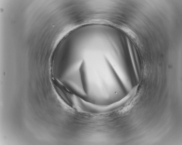 X0000088601430200706151750