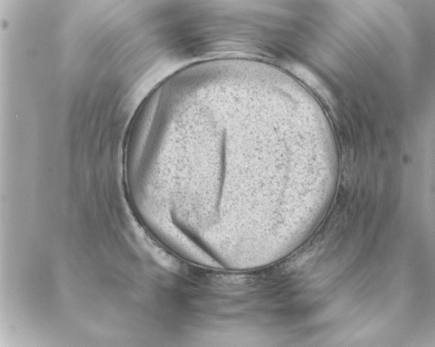 X0000088601431200706151750