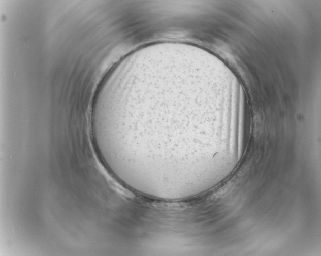 X0000088601432200706151750