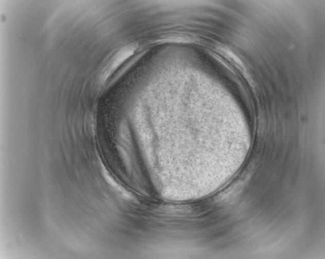 X0000088601433200706151750