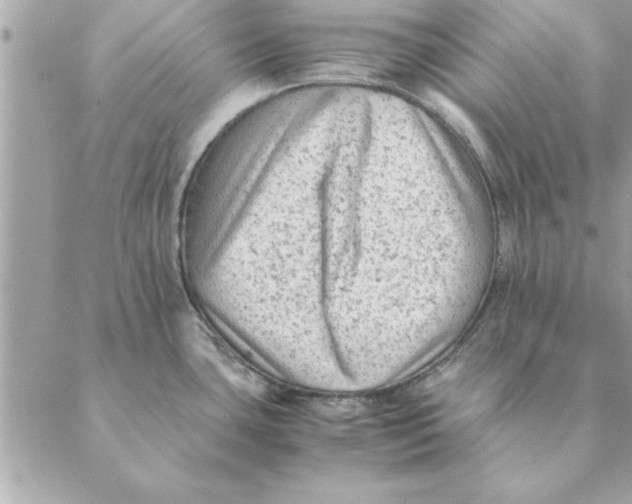 X0000088601435200706151750