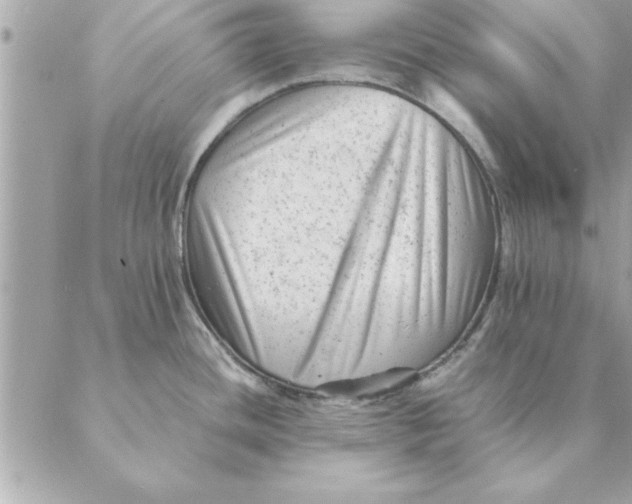 X0000088601436200706151750