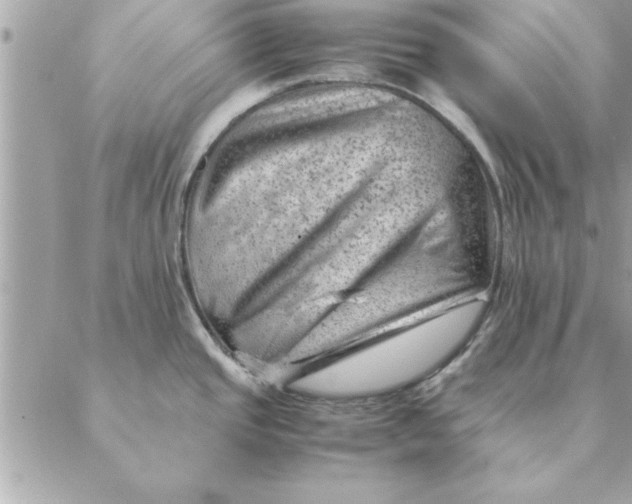 X0000088601437200706151750