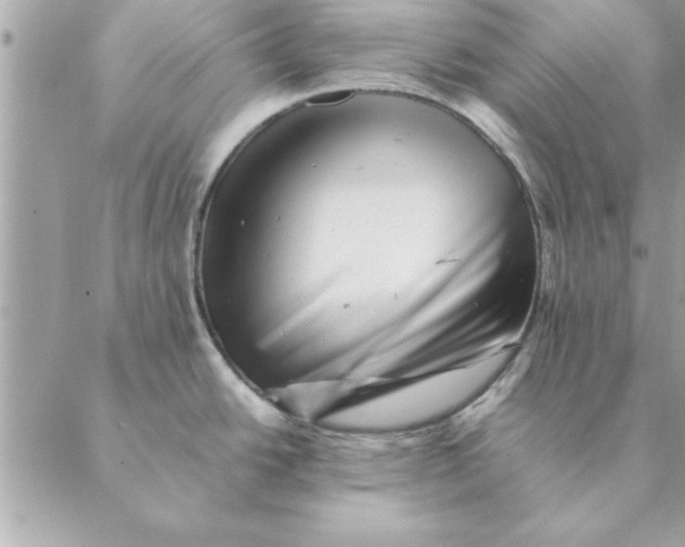 X0000088601438200706151750