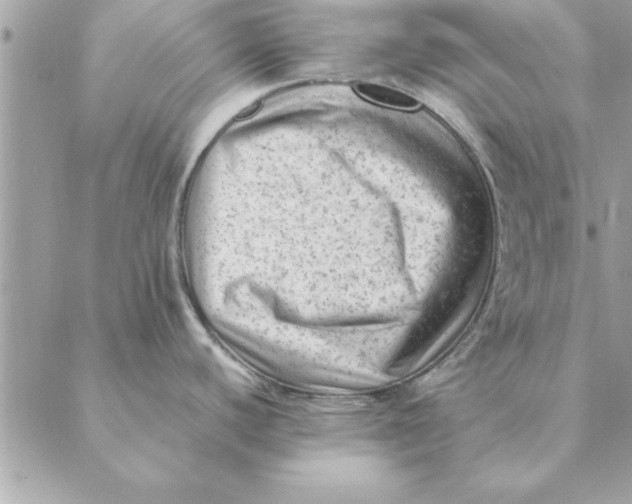 X0000088601440200706151750