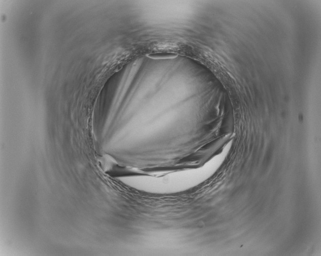 X0000088601441200706151749