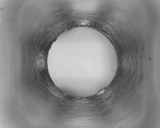 X0000088601442200706151749