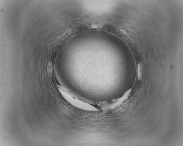 X0000088601443200706151749