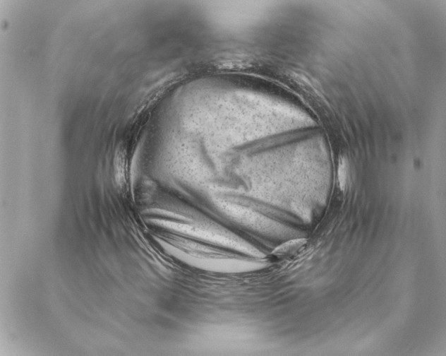 X0000088601444200706151749