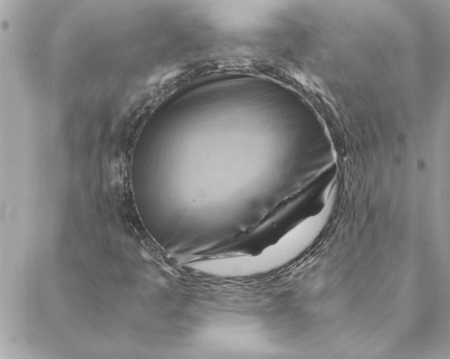 X0000088601445200706151749