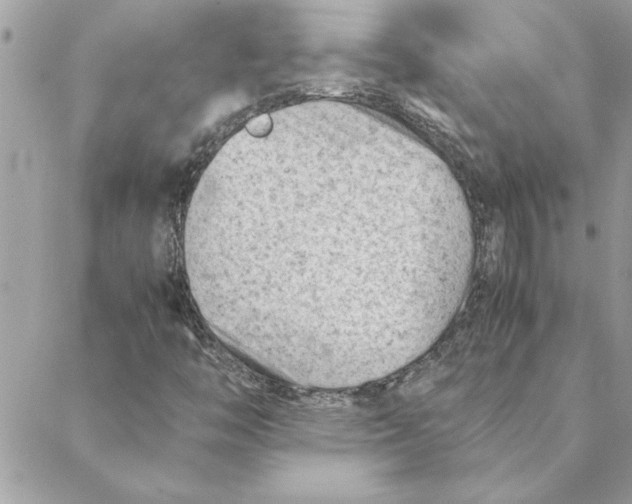 X0000088601446200706151749