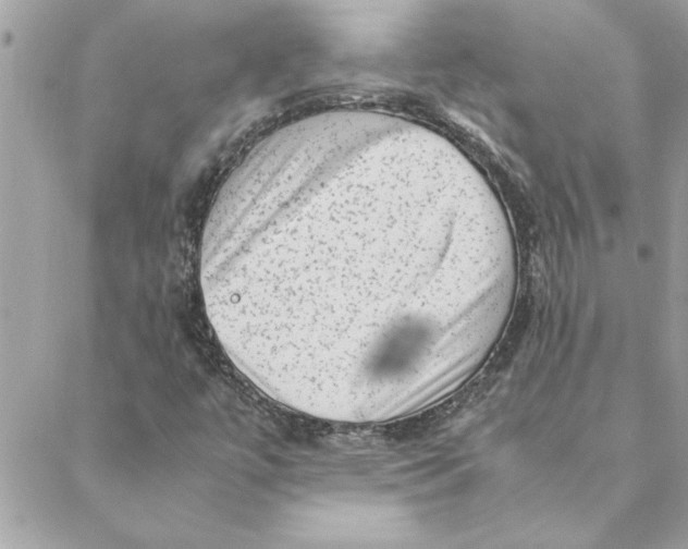 X0000088601447200706151749