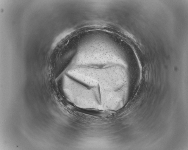 X0000088601448200706151749