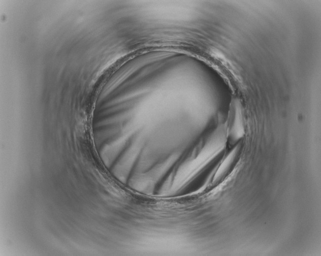 X0000088601449200706151749