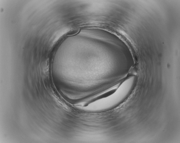 X0000088601450200706151749