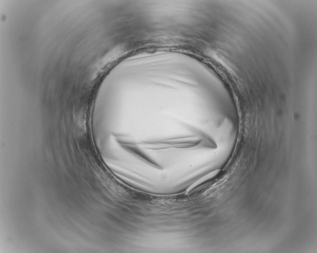 X0000088601451200706151749