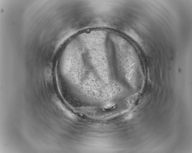 X0000088601452200706151749