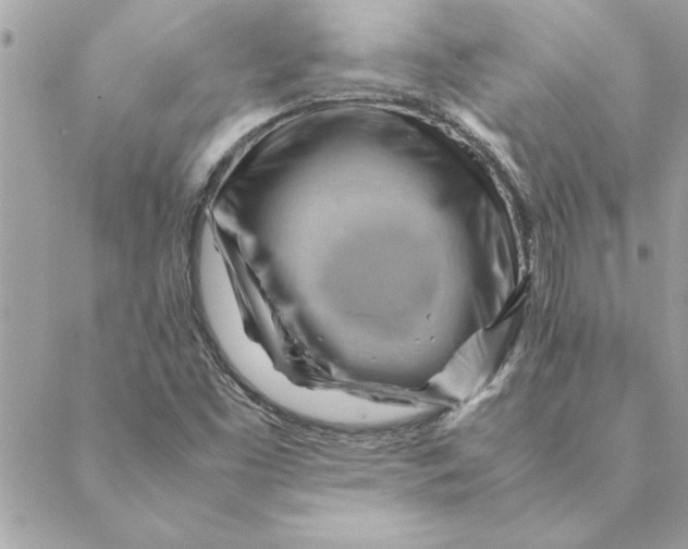 X0000088601453200706151749