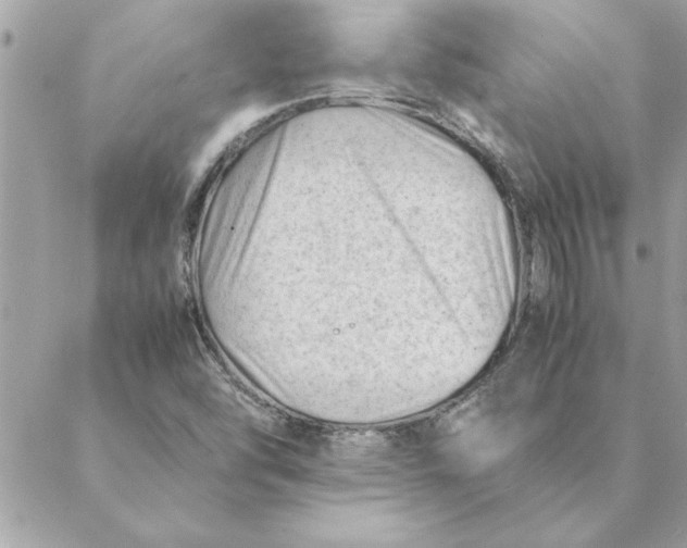 X0000088601454200706151749