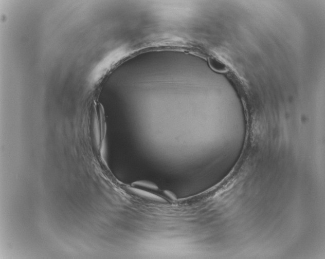 X0000088601455200706151749