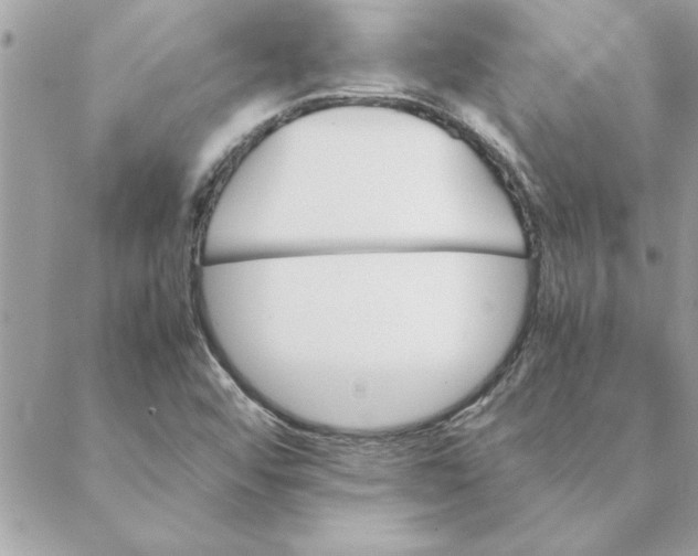 X0000088601456200706151749