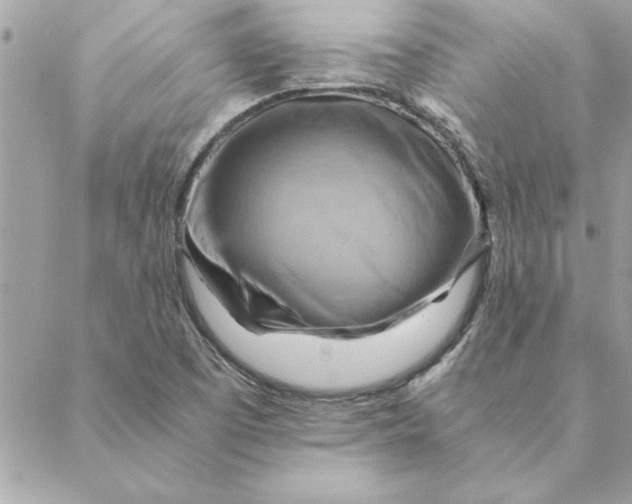 X0000088601457200706151749