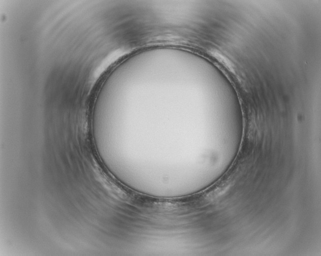 X0000088601458200706151749