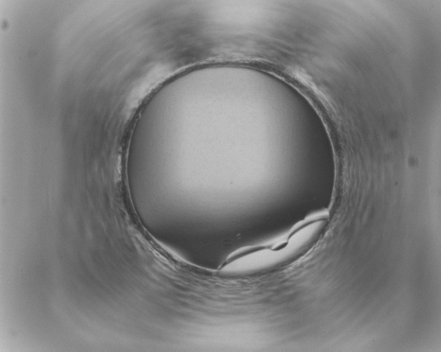 X0000088601459200706151749