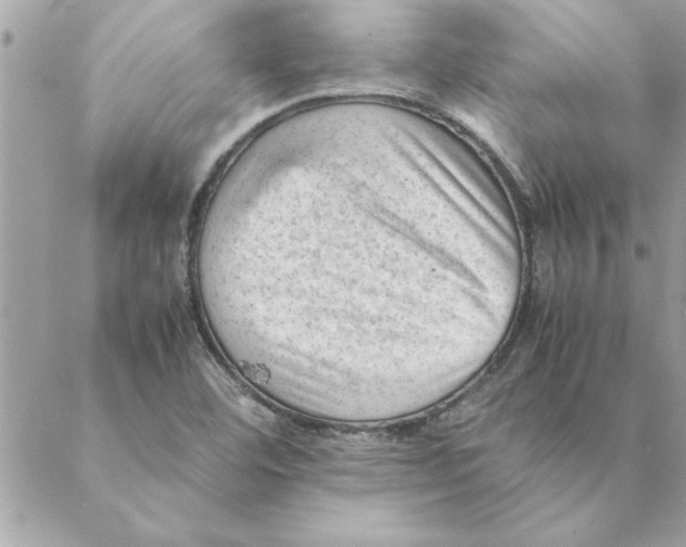 X0000088601460200706151749