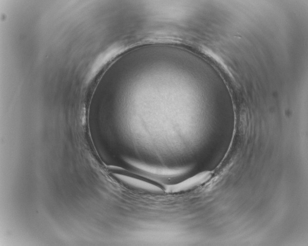 X0000088601461200706151749