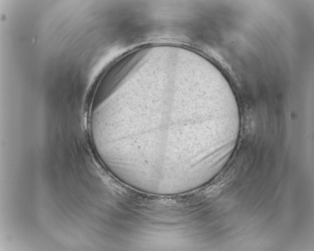 X0000088601462200706151749