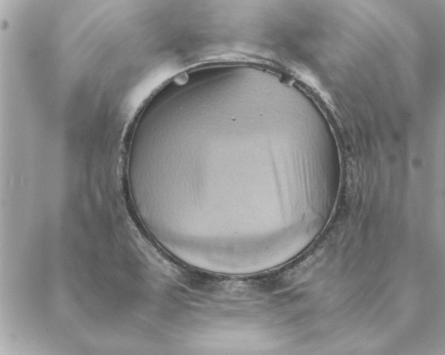 X0000088601463200706151749