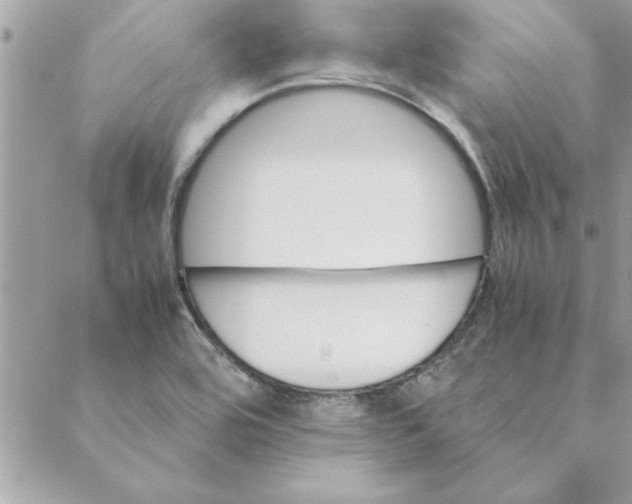 X0000088601464200706151749