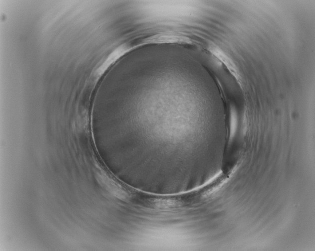 X0000088601465200706151749