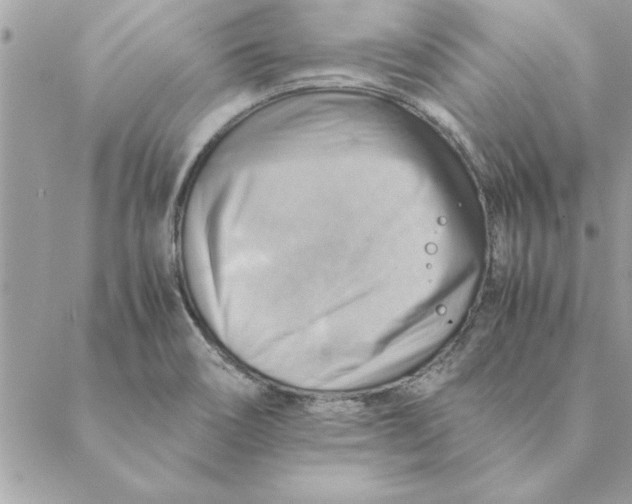 X0000088601466200706151749