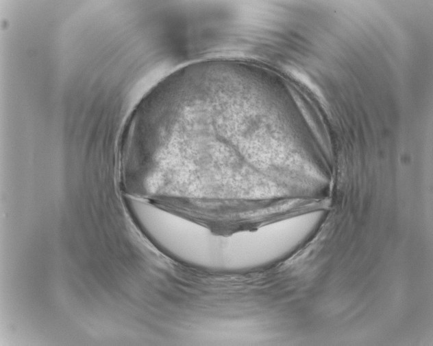 X0000088601467200706151749